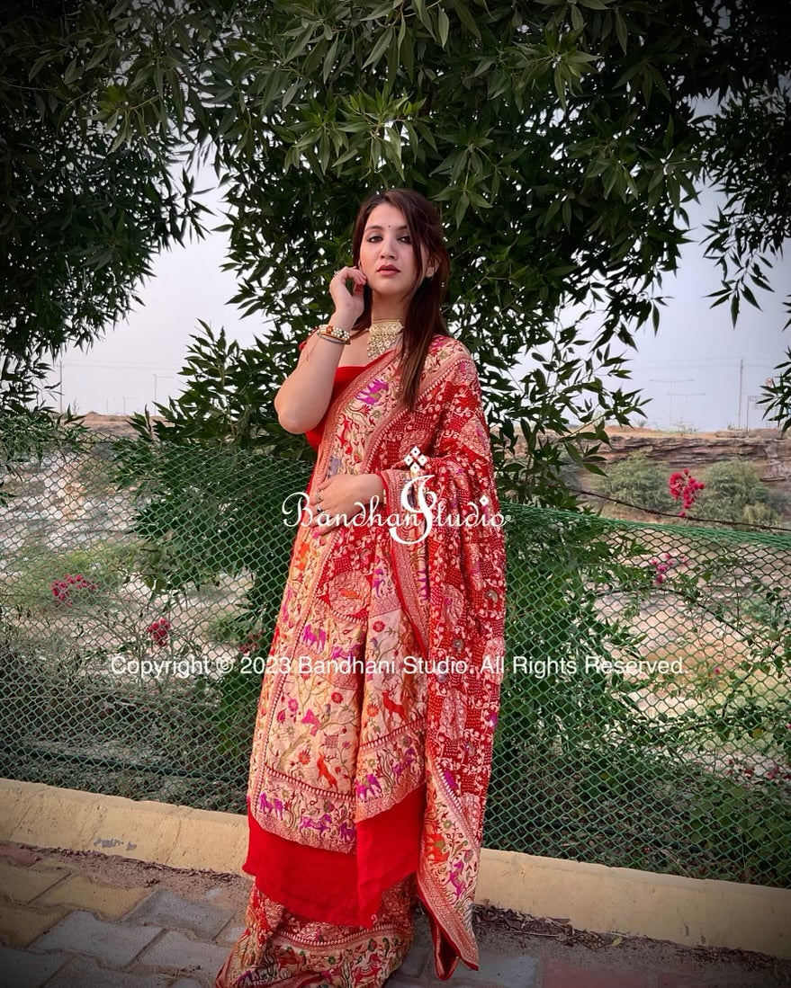 Red Kadamba Shikargah Bandhani saree