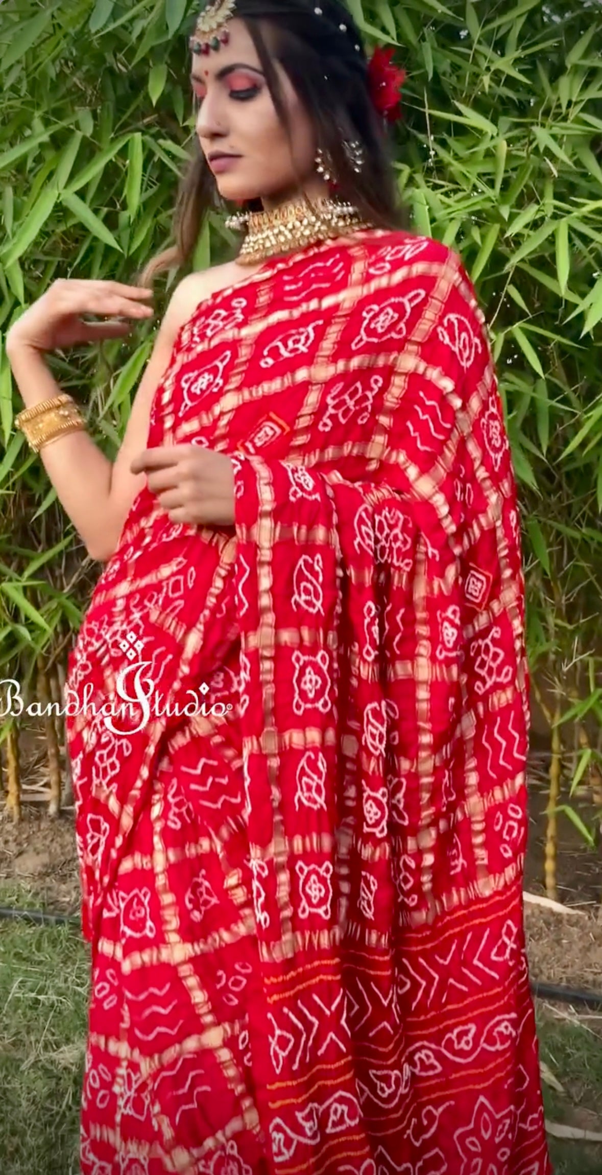Multicolor Gharchola Bandhani Sarees