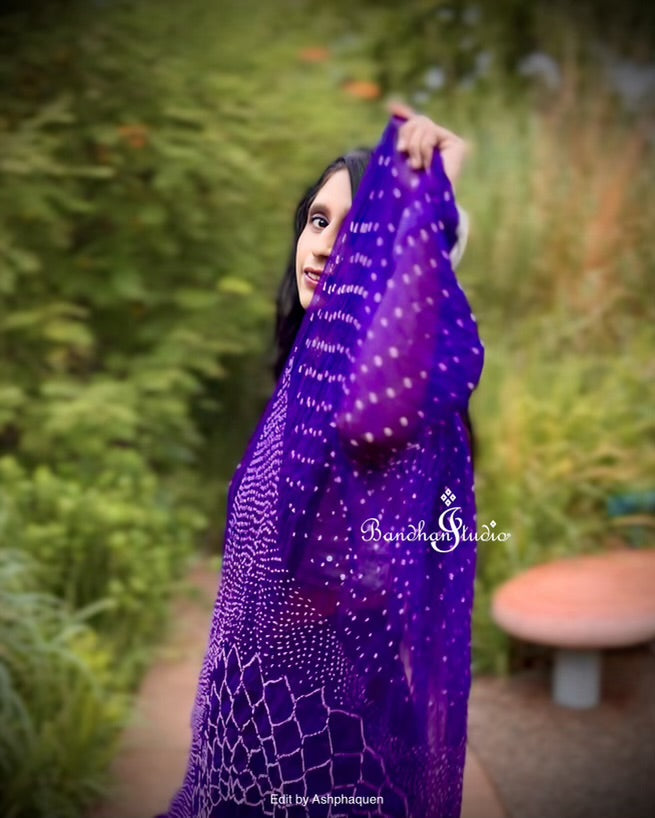 Purple Geometric Bandhani on Organza