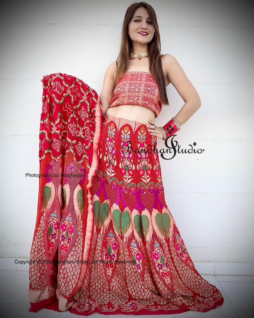 Red Handloom Banarasi Bandhani Lehenga set
