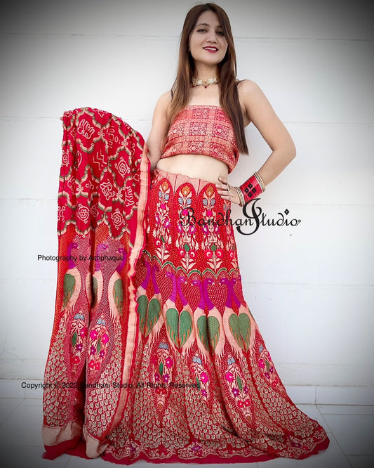 Red Handloom Banarasi Bandhani Lehenga set