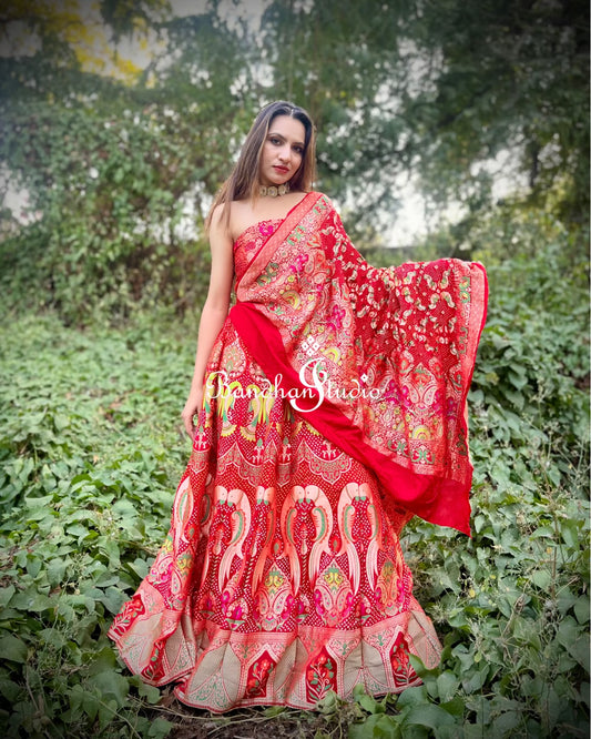 Red Parrot Motifs Bandhani Meenakari Lehenga