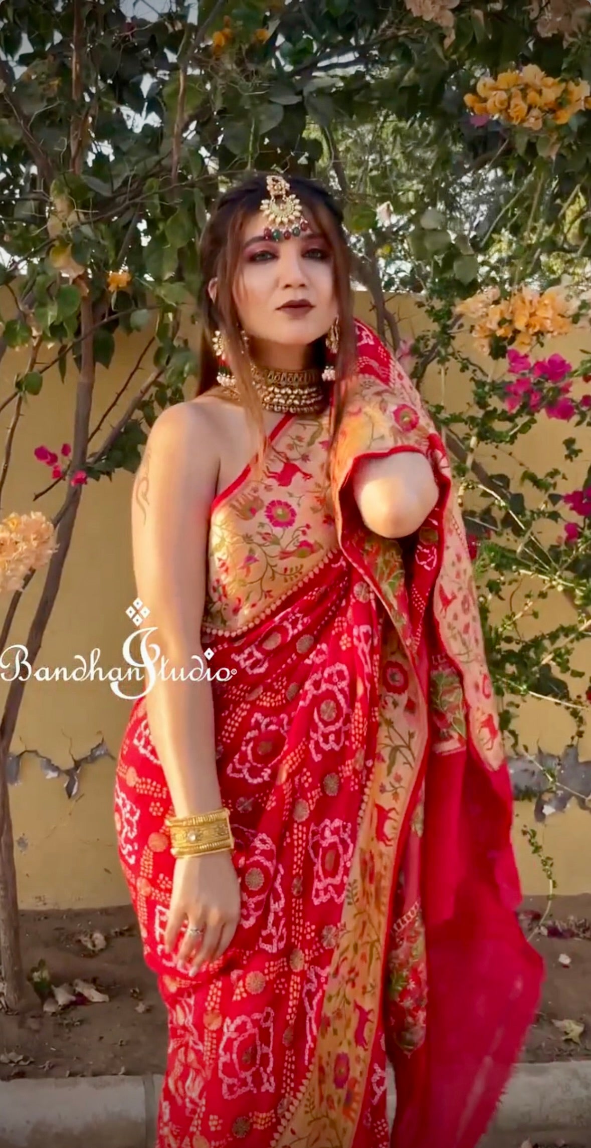 Red Meenakari Shikargah Buti Weaving Zari Bandhani Saree