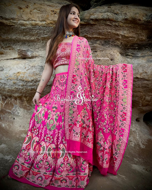 Peach pink ombré Handloom Meenakari Parrot Lehenga set