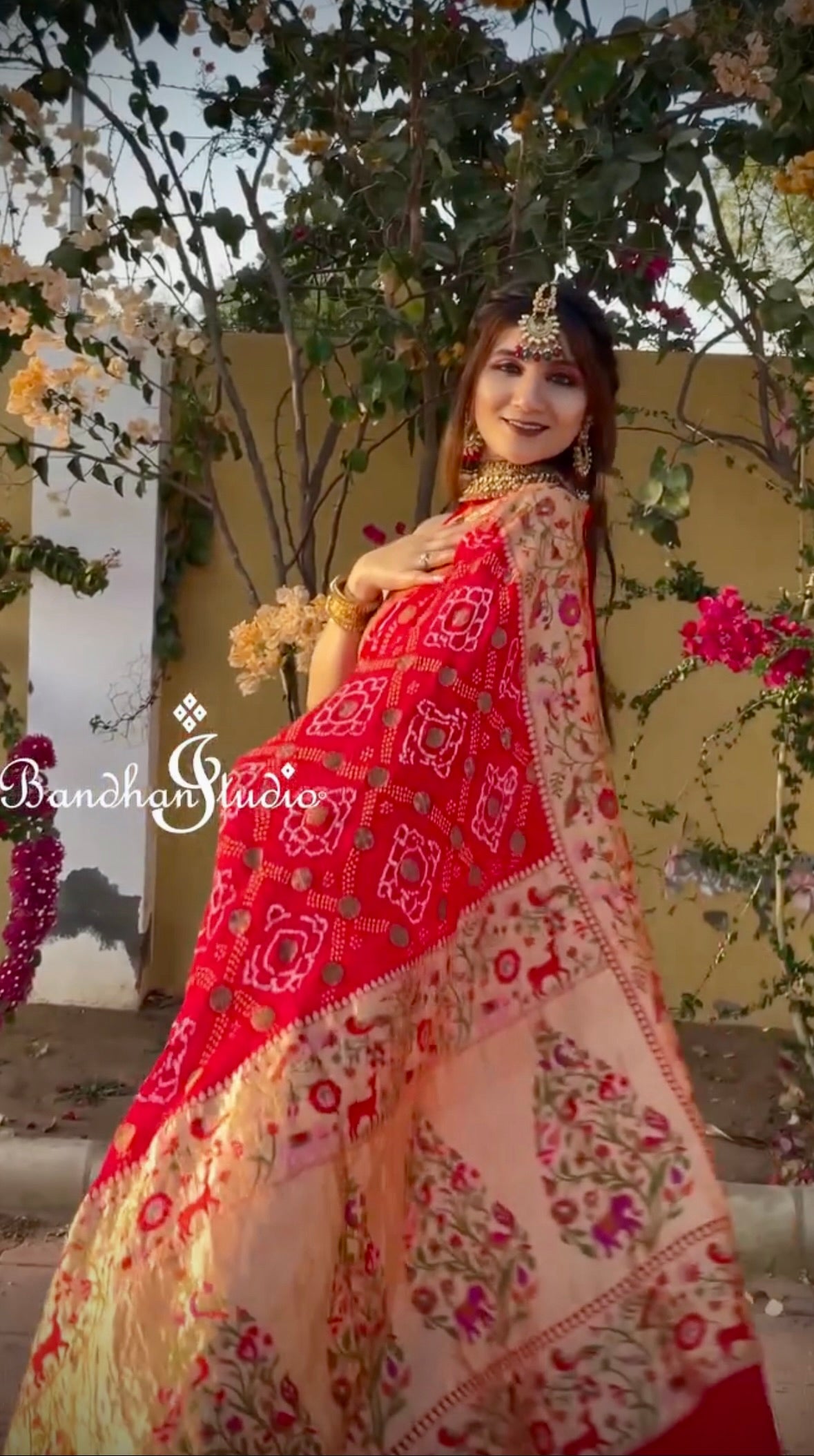 Red Meenakari Shikargah Buti Weaving Zari Bandhani Saree