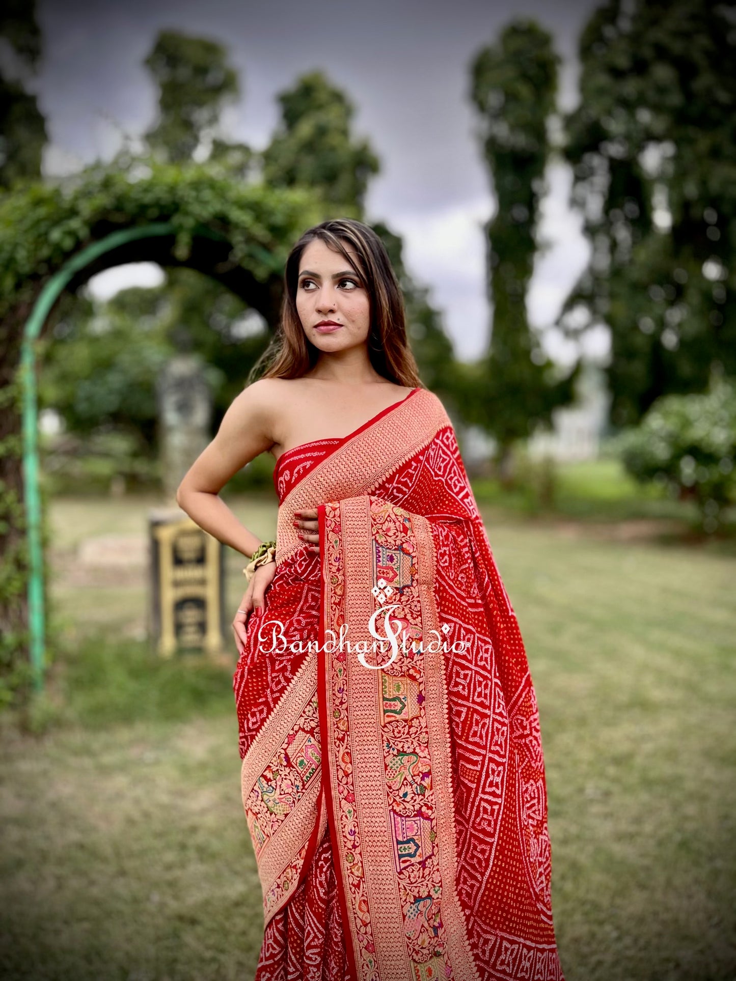 Red Kadwa Weave Banarasi Bandhani Saree